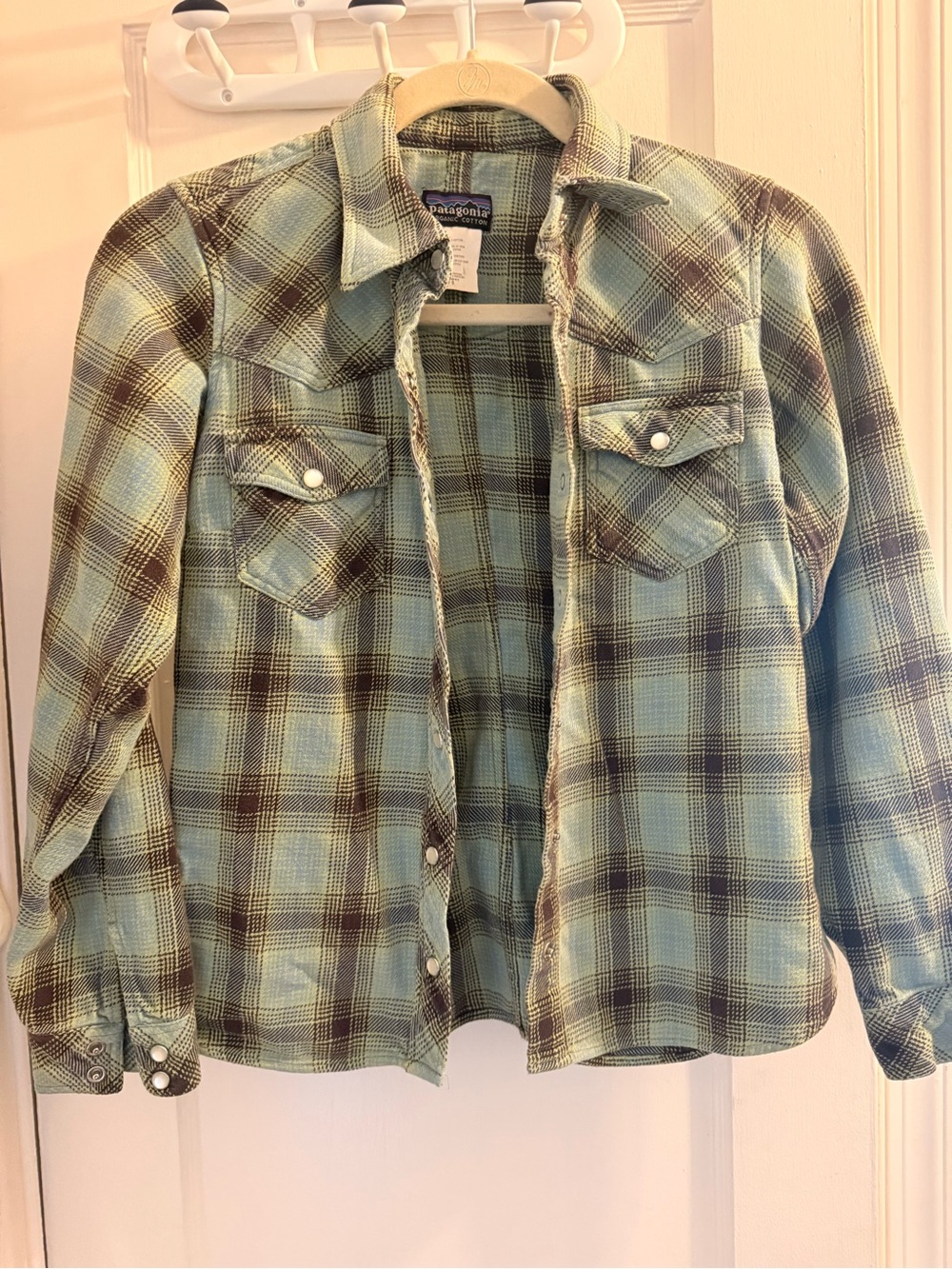 Patagonia Plaid Shirt in Mint Green and Brown